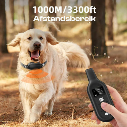 Wodoodporna obroża treningowa dla psa Rojeco | Pilot o zasięgu 1000 m | Tryby sygnału dźwiękowego, wibracji i wstrząsów | Regulowana intensywność | Długi czas pracy baterii | Odpowiedni dla wszystkich rozmiarów psów