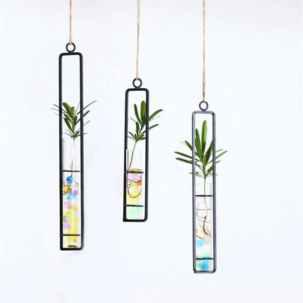 Wiszące terraria do rozmnażania roślin ze szkła i żelaza | Styl minimalistyczny | Zawiera linię | Mały 8,5" | Średni 10,5" | Duży 12,5"