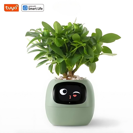PlantPal™ | Automatyczne podlewanie doniczki | Nowoczesny design | Duża pojemność | Trwały plastik | Opcje wielu kolorów