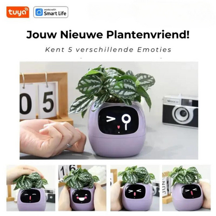 PlantPal™ | Automatyczne podlewanie doniczki | Nowoczesny design | Duża pojemność | Trwały plastik | Opcje wielu kolorów