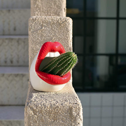 Ceramiczna donica z możliwością ustalenia Pouty Lips | Zabawne i kapryśne | Czerwony, różowy, fioletowy | Trwałe i dopuszczalne robione | Odporne na ciepło i wiatroszczelne | Dekoracja wnętrz do domu lub biura | Pomysł na prezent | 12x6 cm | 1 szt