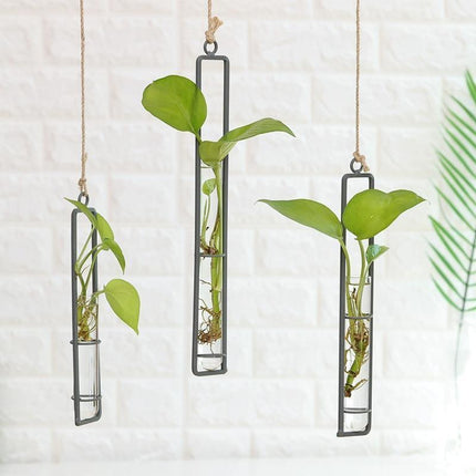 Wiszące terraria do rozmnażania roślin ze szkła i żelaza | Styl minimalistyczny | Zawiera linię | Mały 8,5" | Średni 10,5" | Duży 12,5"