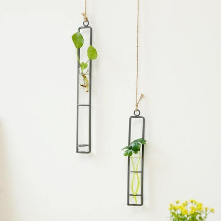 Wiszące terraria do rozmnażania roślin ze szkła i żelaza | Styl minimalistyczny | Zawiera linię | Mały 8,5" | Średni 10,5" | Duży 12,5"