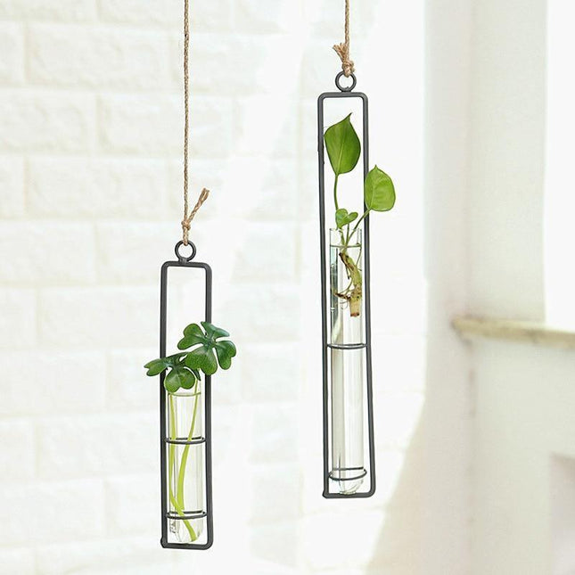Wiszące terraria do rozmnażania roślin ze szkła i żelaza | Styl minimalistyczny | Zawiera linię | Mały 8,5" | Średni 10,5" | Duży 12,5"
